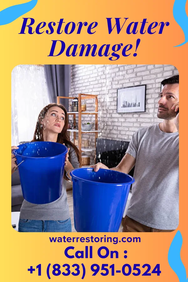 water restoration Quick Water Cleanup Experts Verona