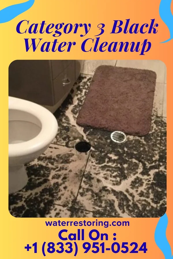 Category 3 Black Water Cleanup in Verona, PA