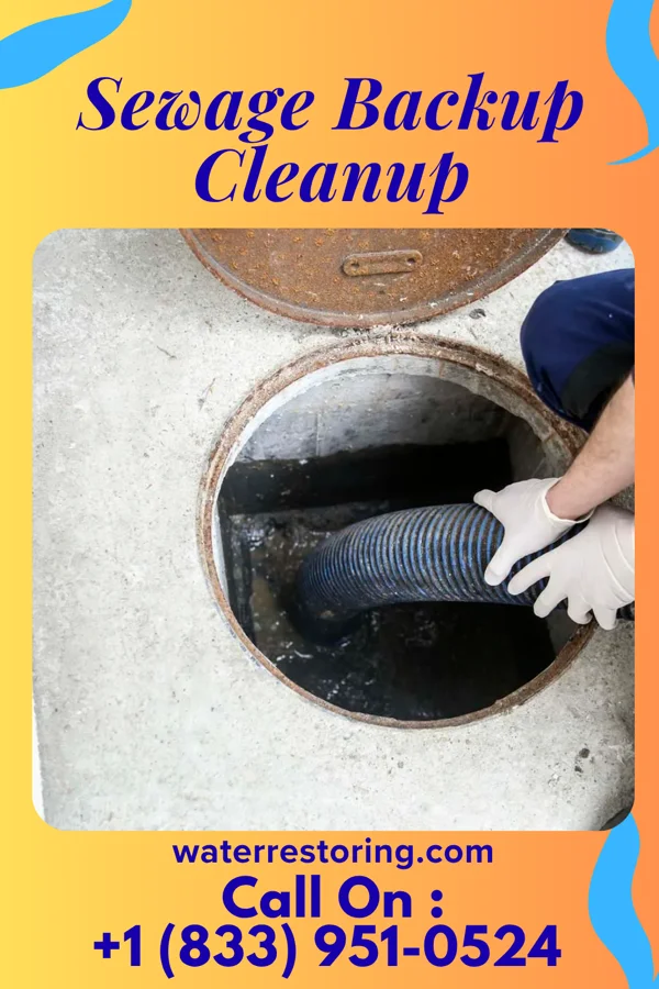 Sewage Backup Cleanup in Verona, PA