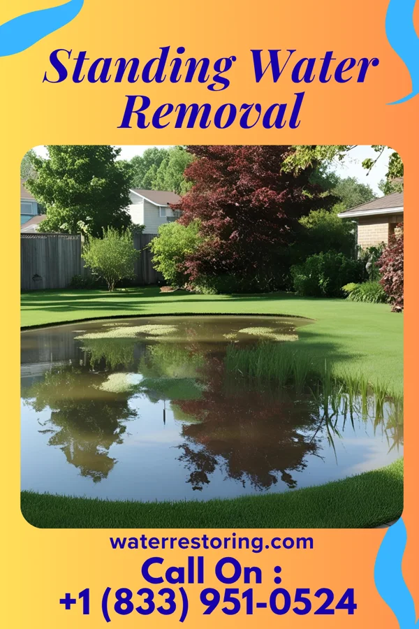 Standing Water Removal in Verona, PA